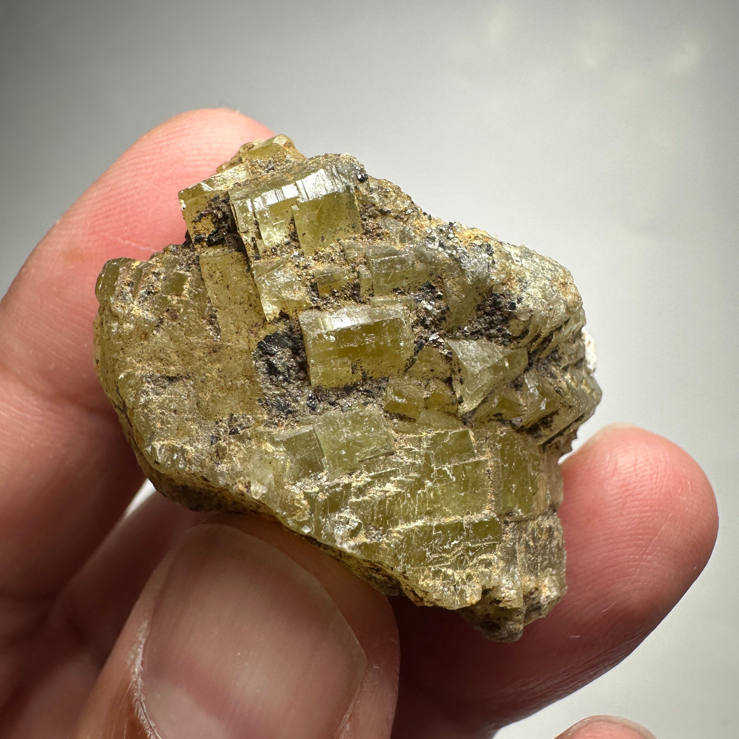 146ct / 29.20gm Prehinite Crystal, Merelani, Tanzania, Untreated Unheated.