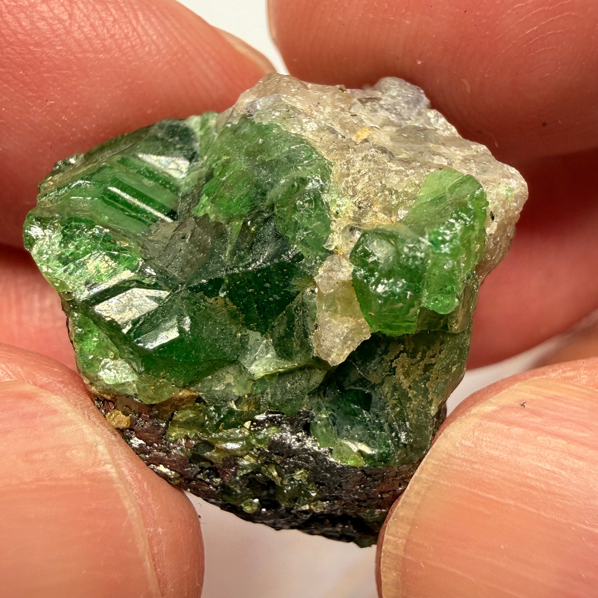 Tsavorite Garnet Crystal with a little bit of Tanzanite, on matrix, 72.31ct, Merelani, Tanzania, Untreated Unheated