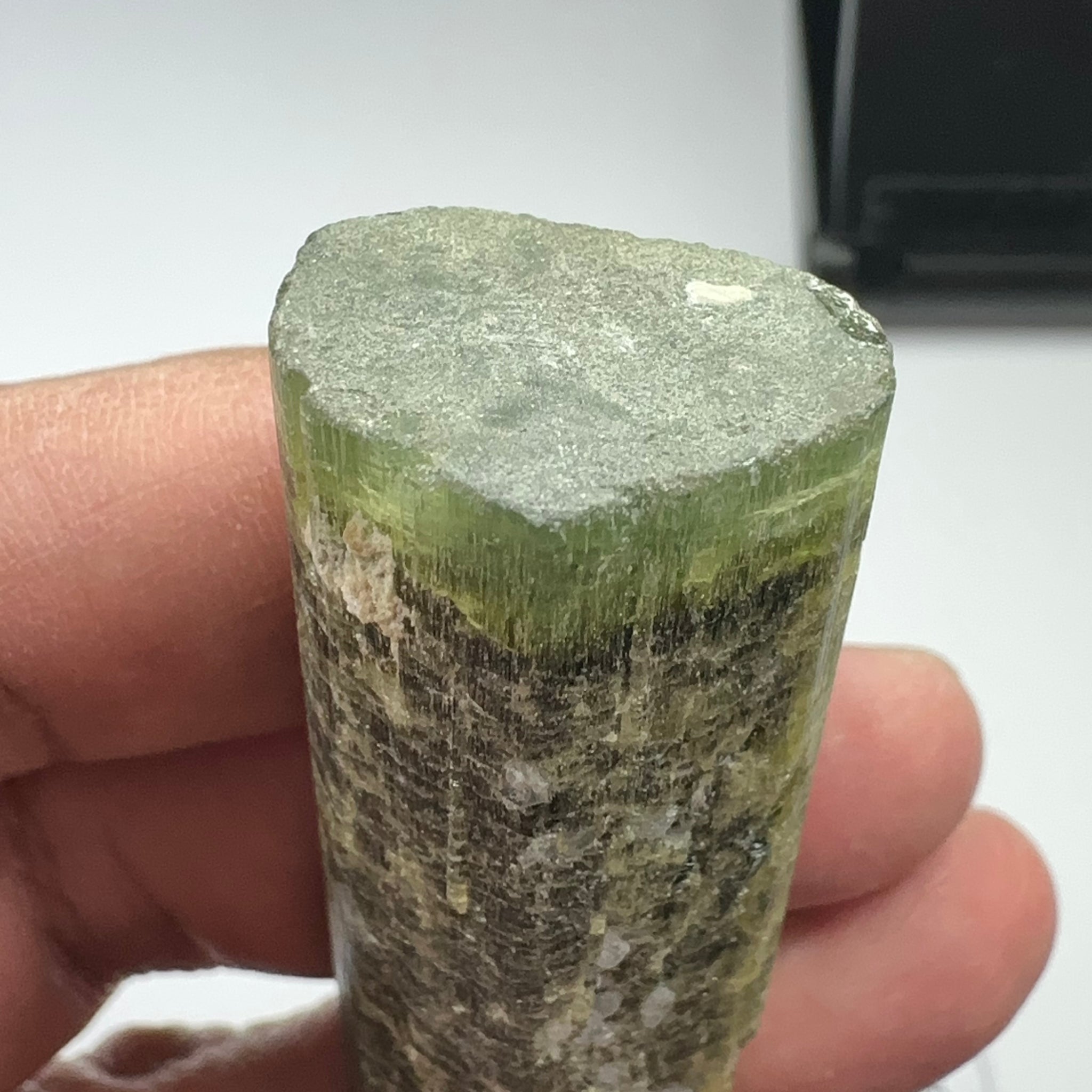 Tourmaline Crystal, 43.90gm, Tanzania.