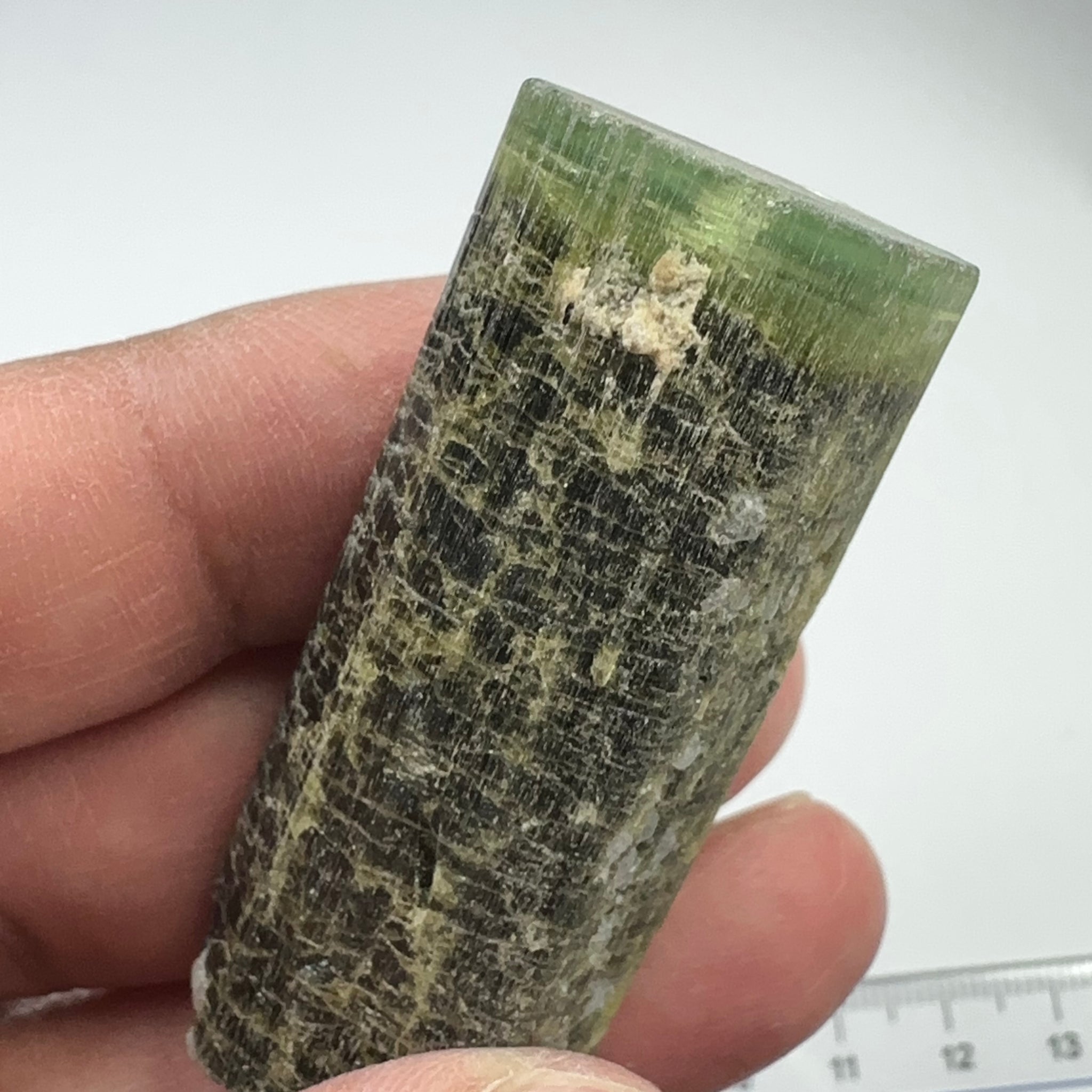 Tourmaline Crystal, 43.90gm, Tanzania.