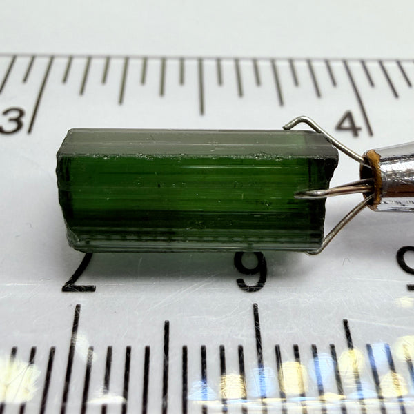 Congo Tourmaline Crystal, 7.92ct, Untreated Unheated, vvs-if, c axis closed