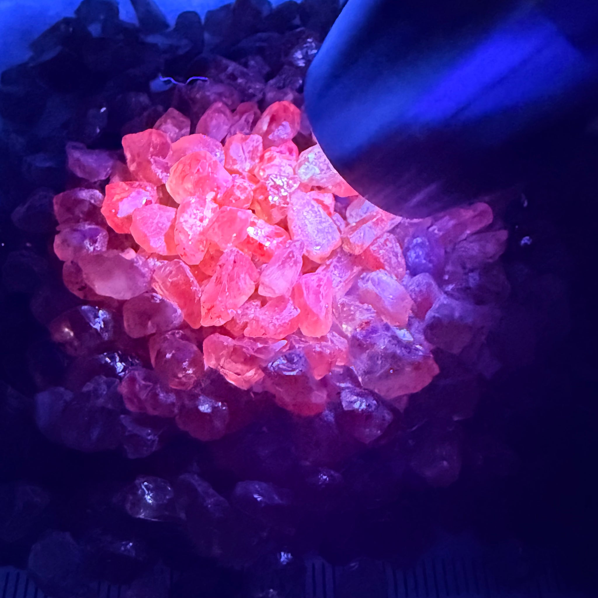 Dragon Garnet Lot, 154.00gm / 770.00ct Lot, Tanzania, Untreated Unheated, mixed clarity lot, 1.46ct average, see the videos for uv effect