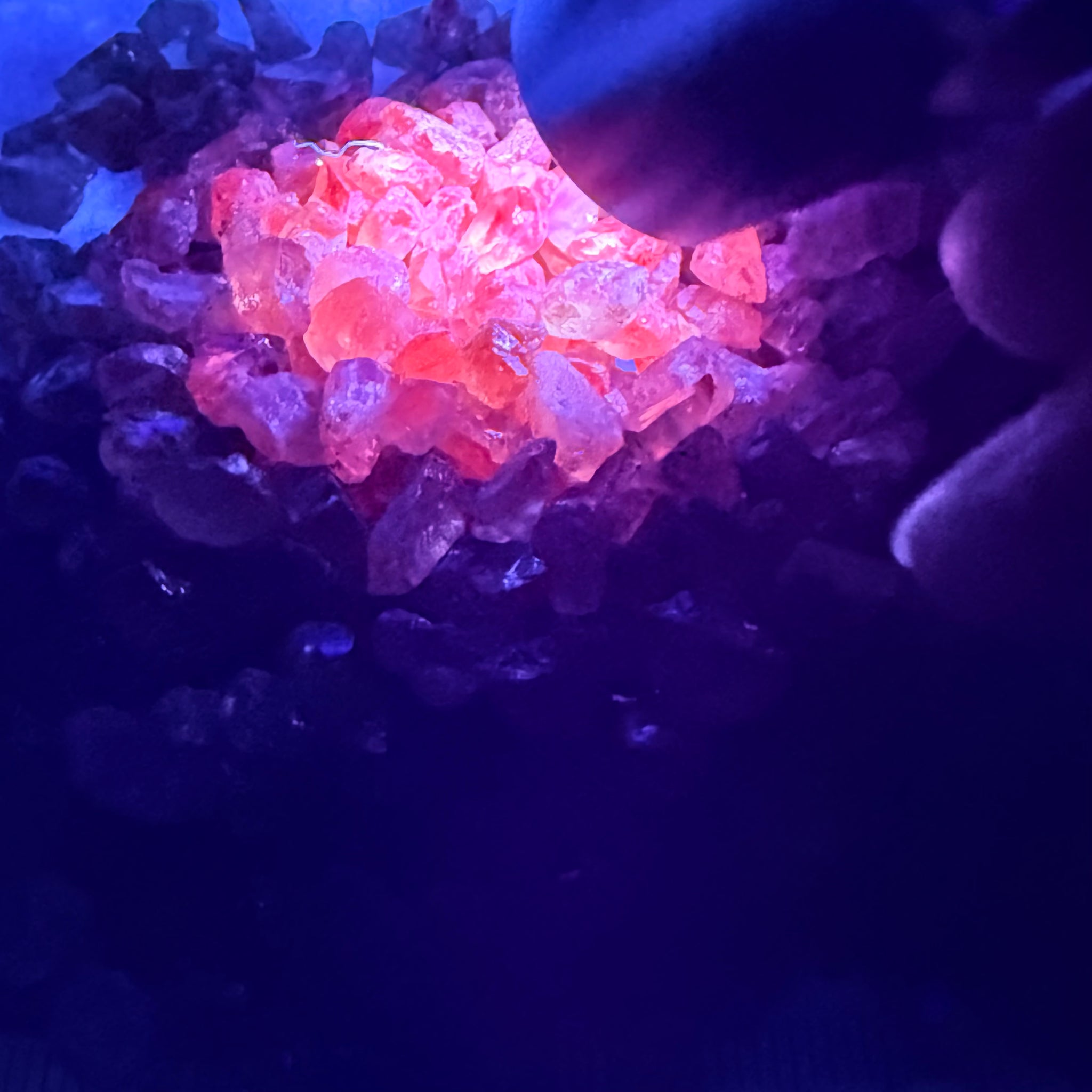 Dragon Garnet Lot, 154.00gm / 770.00ct Lot, Tanzania, Untreated Unheated, mixed clarity lot, 1.46ct average, see the videos for uv effect