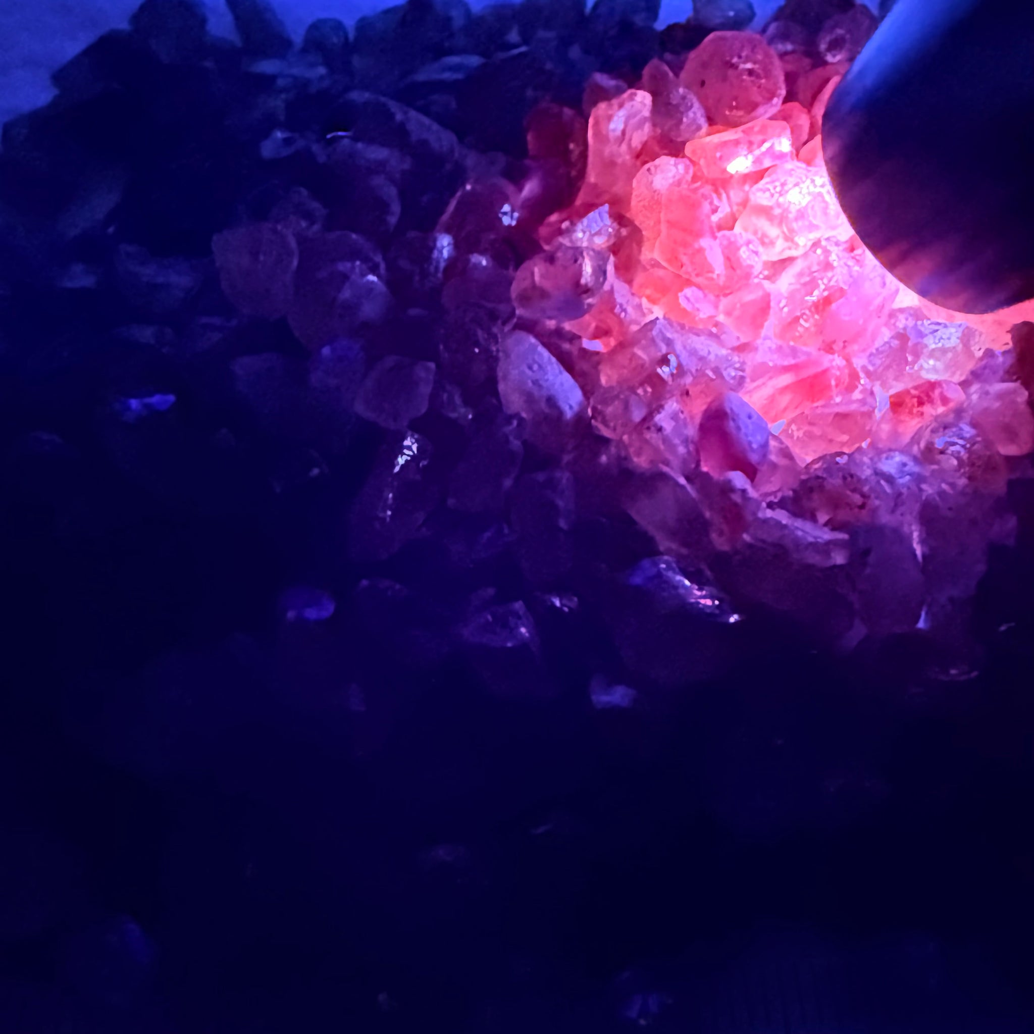 Dragon Garnet Lot, 154.00gm / 770.00ct Lot, Tanzania, Untreated Unheated, mixed clarity lot, 1.46ct average, see the videos for uv effect
