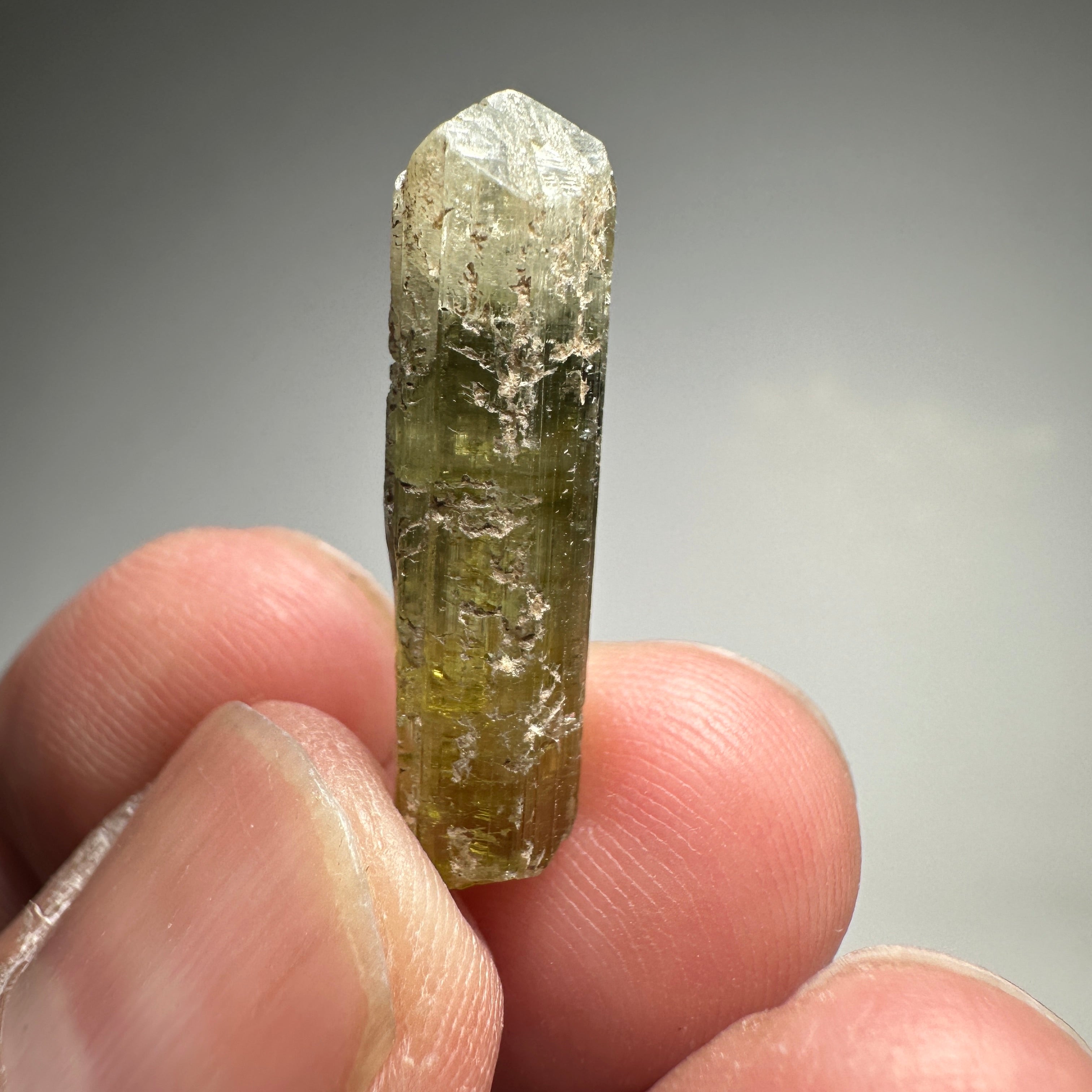 2.30gm Tourmaline Crystal, Mwajanga, Tanzania.
