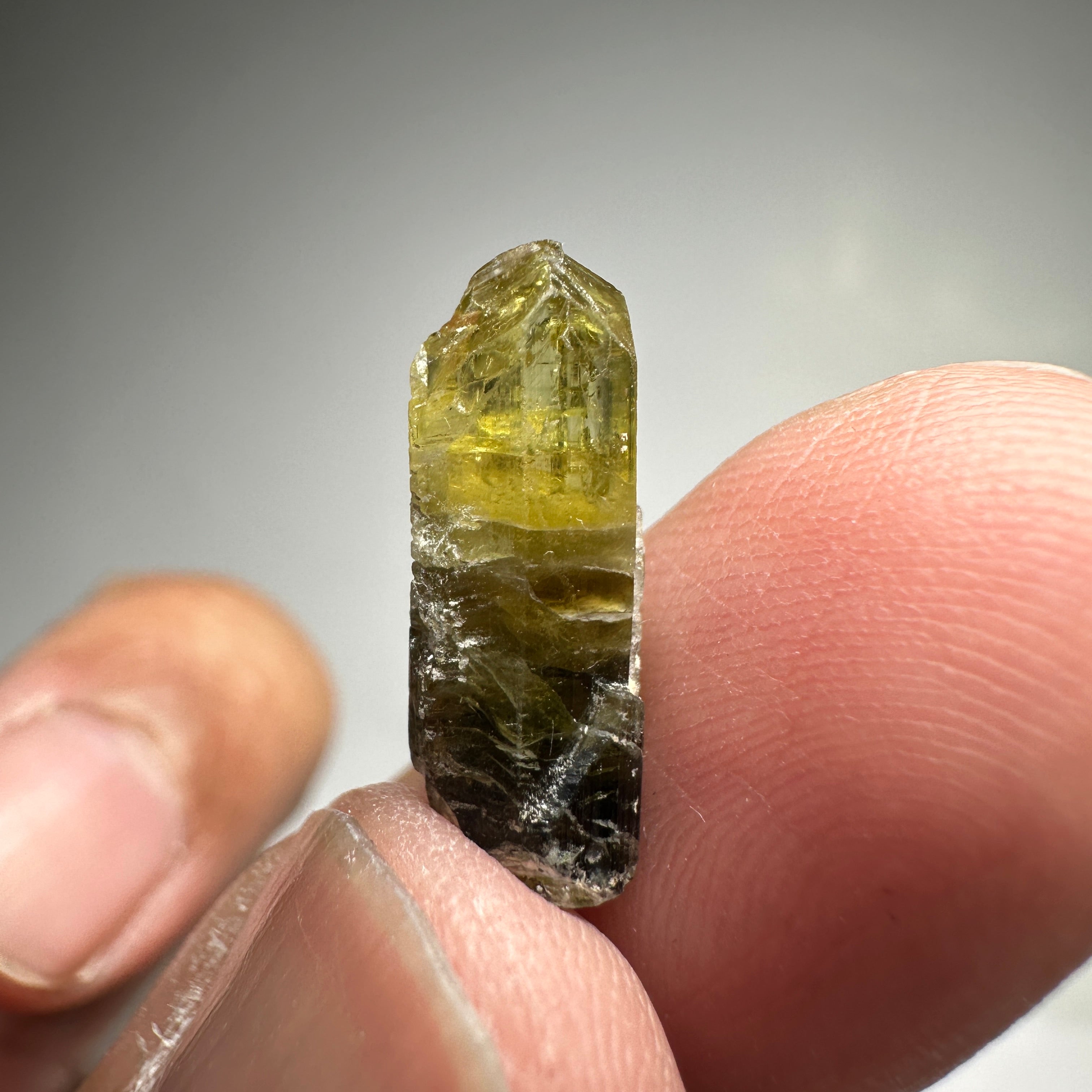 1.00gm Tourmaline Crystal, Mwajanga, Tanzania.