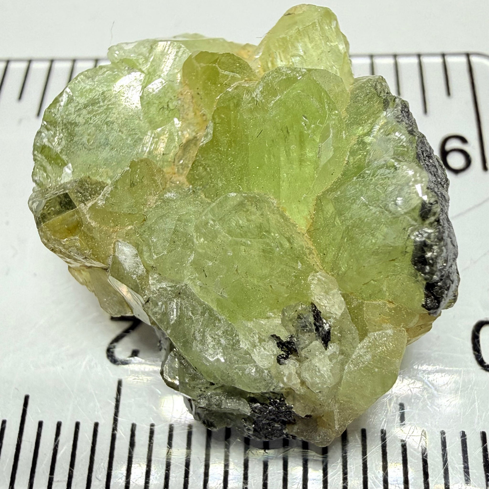 Diopside Crystal, 32.54ct Tanzania, Untreated Unheated