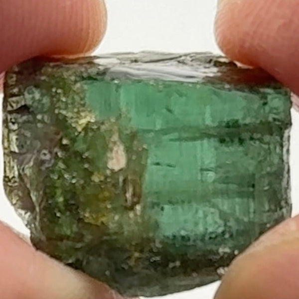 Tourmaline Crystal, 5.90gm, Untreated Unheated, cab/specimen grade, closed c axis