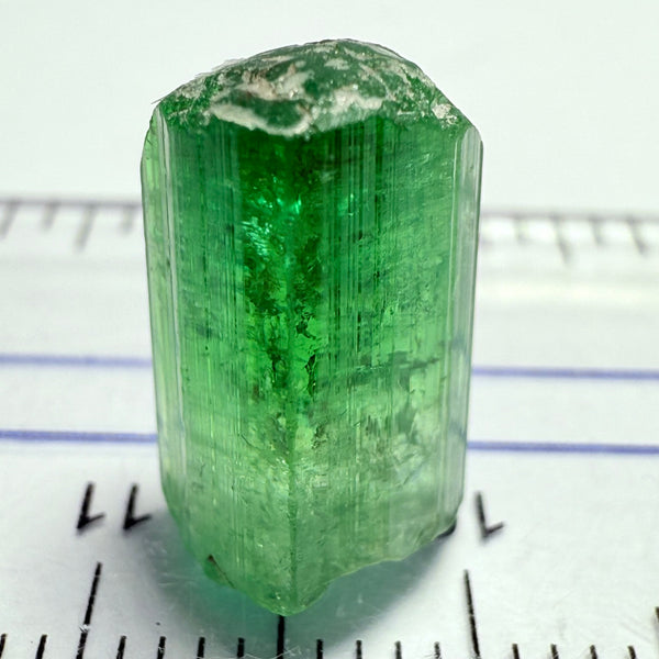 Tourmaline Crystal, 8.08ct, Laletema, Tanzania, Untreated Unheated