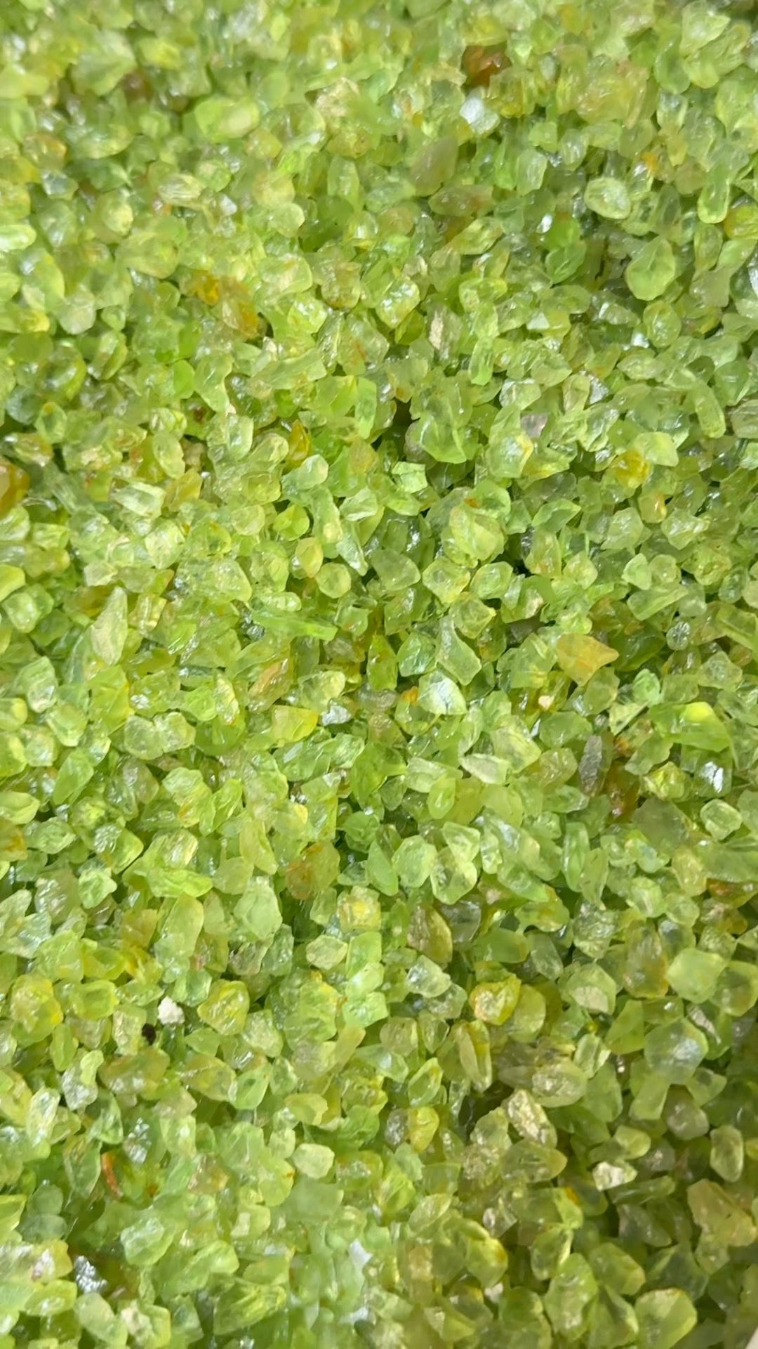 GoGo Peridot Lot, melee rough, 1.558kg / 1558gm / 7790ct, Tanzania, Untreated Unheated, we haven’t washed these, they still have the oil on from when the miner brought it in, 0.80ct average size, eye clean and better, literally US$0.6 per gm
