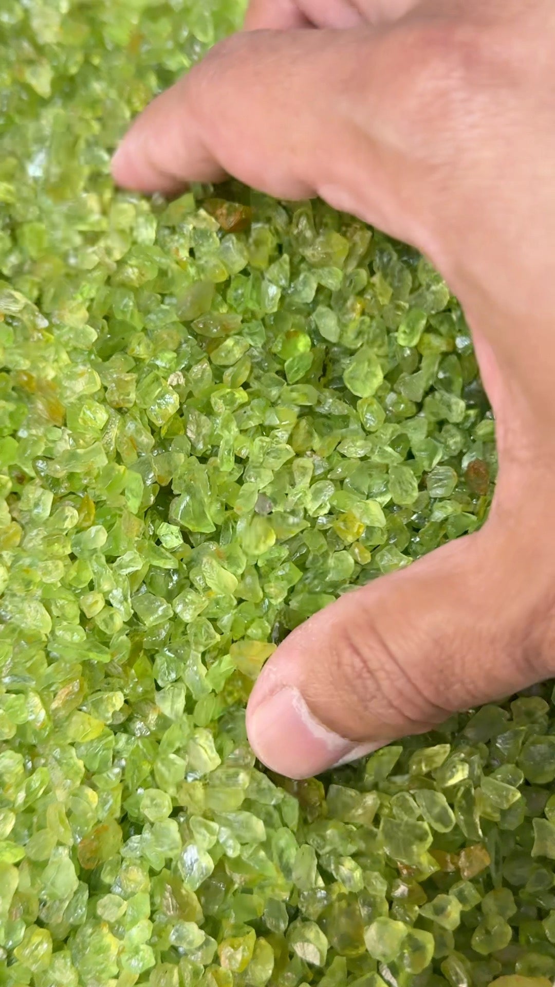 GoGo Peridot Lot, melee rough, 1.558kg / 1558gm / 7790ct, Tanzania, Untreated Unheated, we haven’t washed these, they still have the oil on from when the miner brought it in, 0.80ct average size, eye clean and better, literally US$0.6 per gm