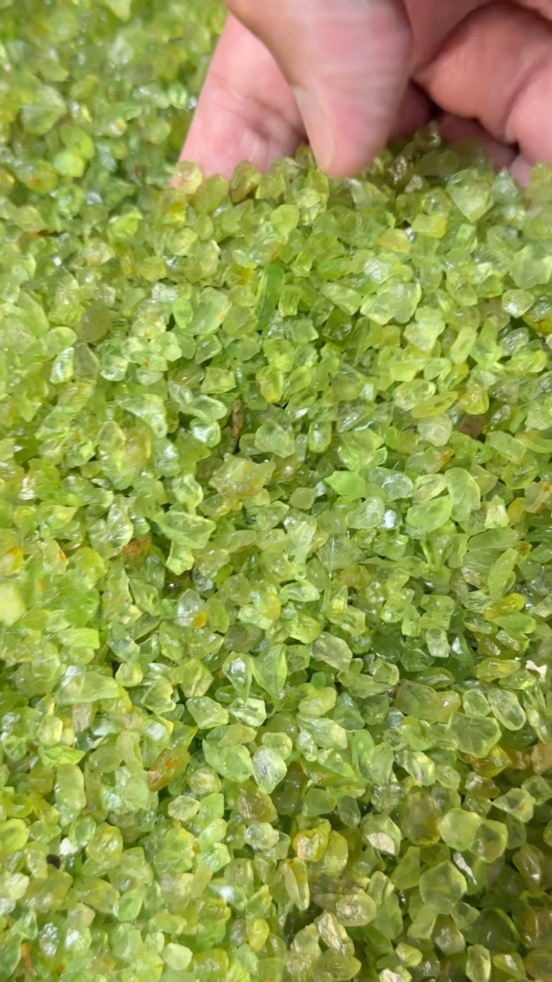 GoGo Peridot Lot, melee rough, 1.558kg / 1558gm / 7790ct, Tanzania, Untreated Unheated, we haven’t washed these, they still have the oil on from when the miner brought it in, 0.80ct average size, eye clean and better, literally US$0.6 per gm