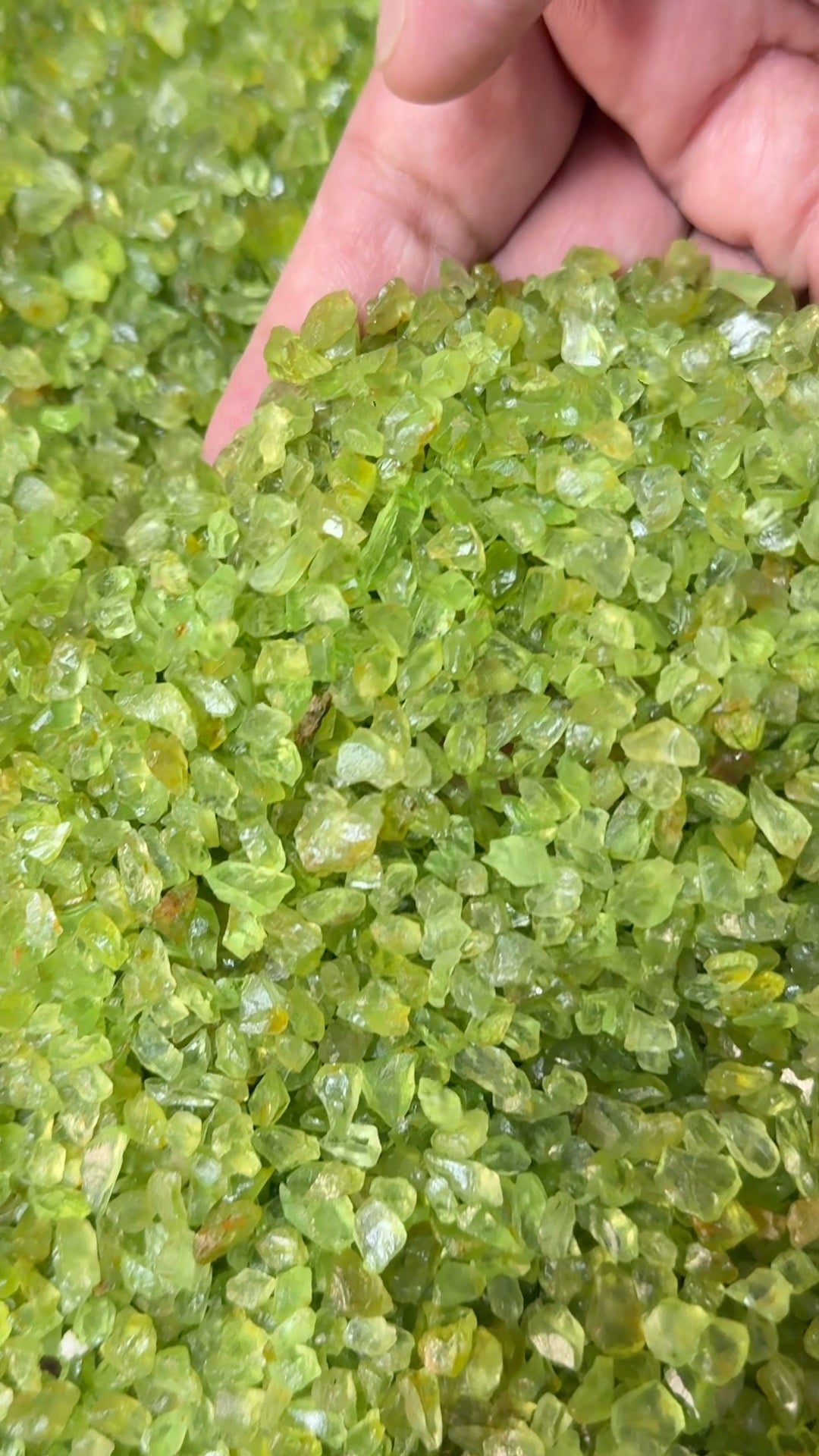 GoGo Peridot Lot, melee rough, 1.558kg / 1558gm / 7790ct, Tanzania, Untreated Unheated, we haven’t washed these, they still have the oil on from when the miner brought it in, 0.80ct average size, eye clean and better, literally US$0.6 per gm