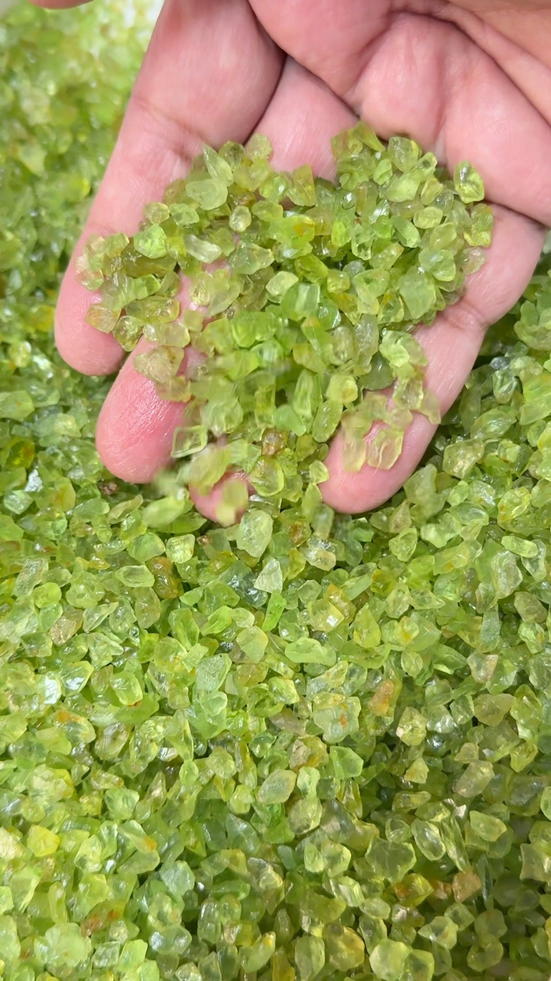 GoGo Peridot Lot, melee rough, 1.558kg / 1558gm / 7790ct, Tanzania, Untreated Unheated, we haven’t washed these, they still have the oil on from when the miner brought it in, 0.80ct average size, eye clean and better, literally US$0.6 per gm