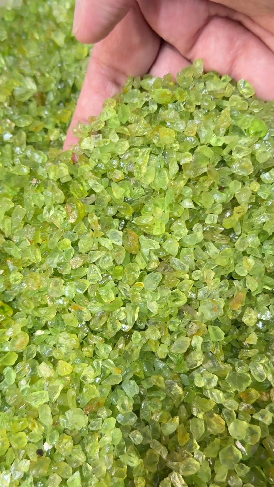 GoGo Peridot Lot, melee rough, 1.558kg / 1558gm / 7790ct, Tanzania, Untreated Unheated, we haven’t washed these, they still have the oil on from when the miner brought it in, 0.80ct average size, eye clean and better, literally US$0.6 per gm