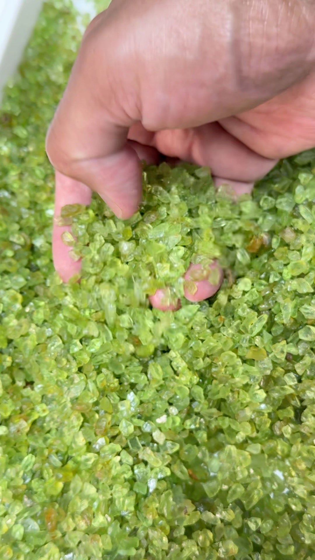 GoGo Peridot Lot, melee rough, 1.558kg / 1558gm / 7790ct, Tanzania, Untreated Unheated, we haven’t washed these, they still have the oil on from when the miner brought it in, 0.80ct average size, eye clean and better, literally US$0.6 per gm