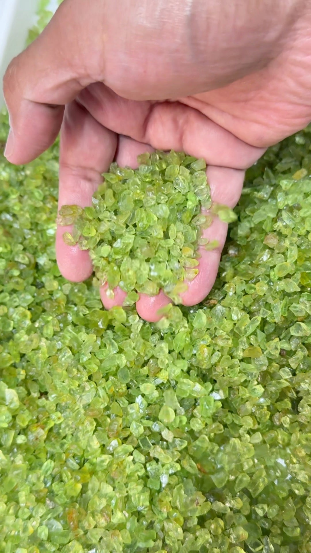 GoGo Peridot Lot, melee rough, 1.558kg / 1558gm / 7790ct, Tanzania, Untreated Unheated, we haven’t washed these, they still have the oil on from when the miner brought it in, 0.80ct average size, eye clean and better, literally US$0.6 per gm