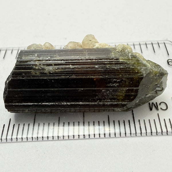 Tourmaline Crystal, 41.40ct, Mwajanga, Tanzania. Untreated Unheated