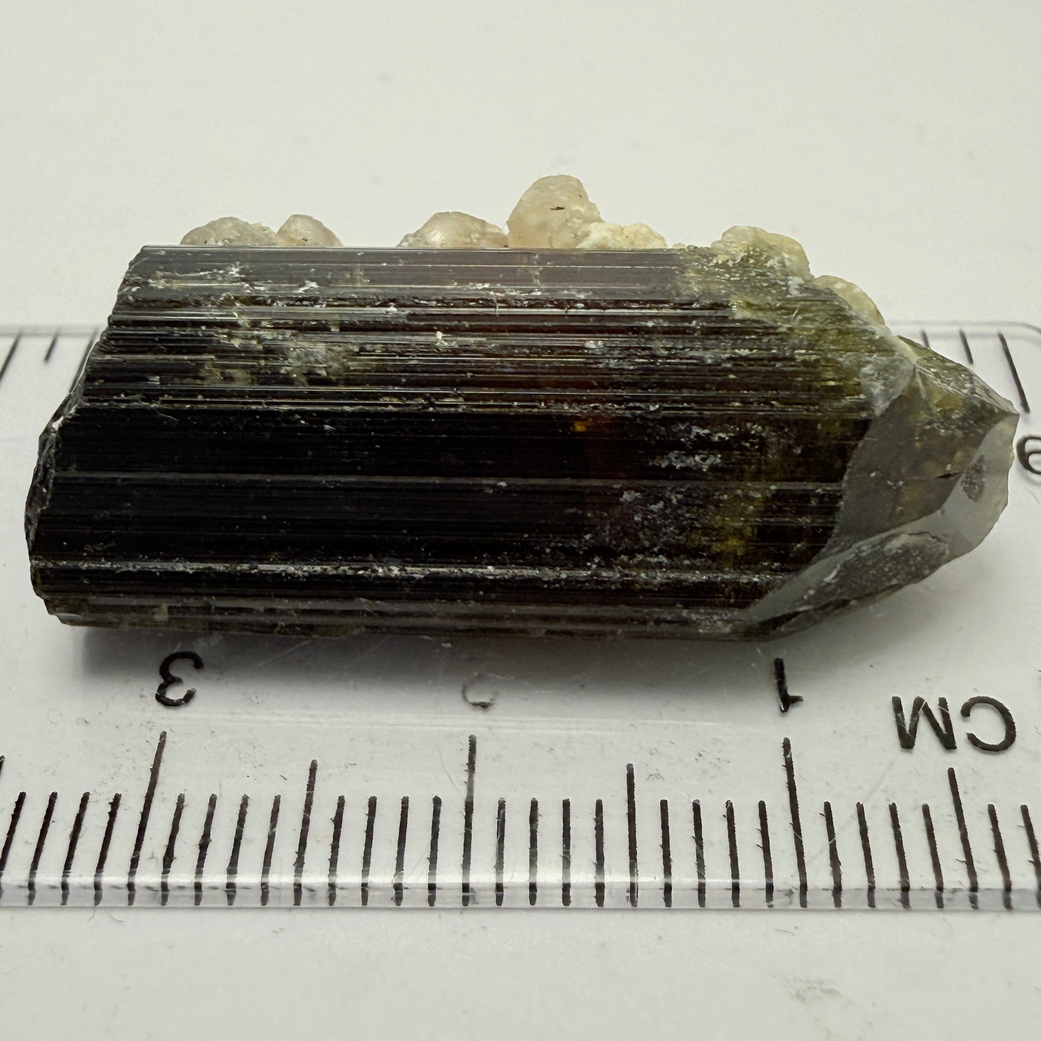 Tourmaline Crystal, 41.40ct, Mwajanga, Tanzania. Untreated Unheated