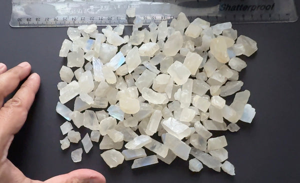 Moonstone Lot, Blue Sheen and Rainbow, 527gm / 2635ct, 0.60gm - 8.70gm, Tanzania, Untreated Unheated, light, medium and strong sheens, cabbing and faceting rough