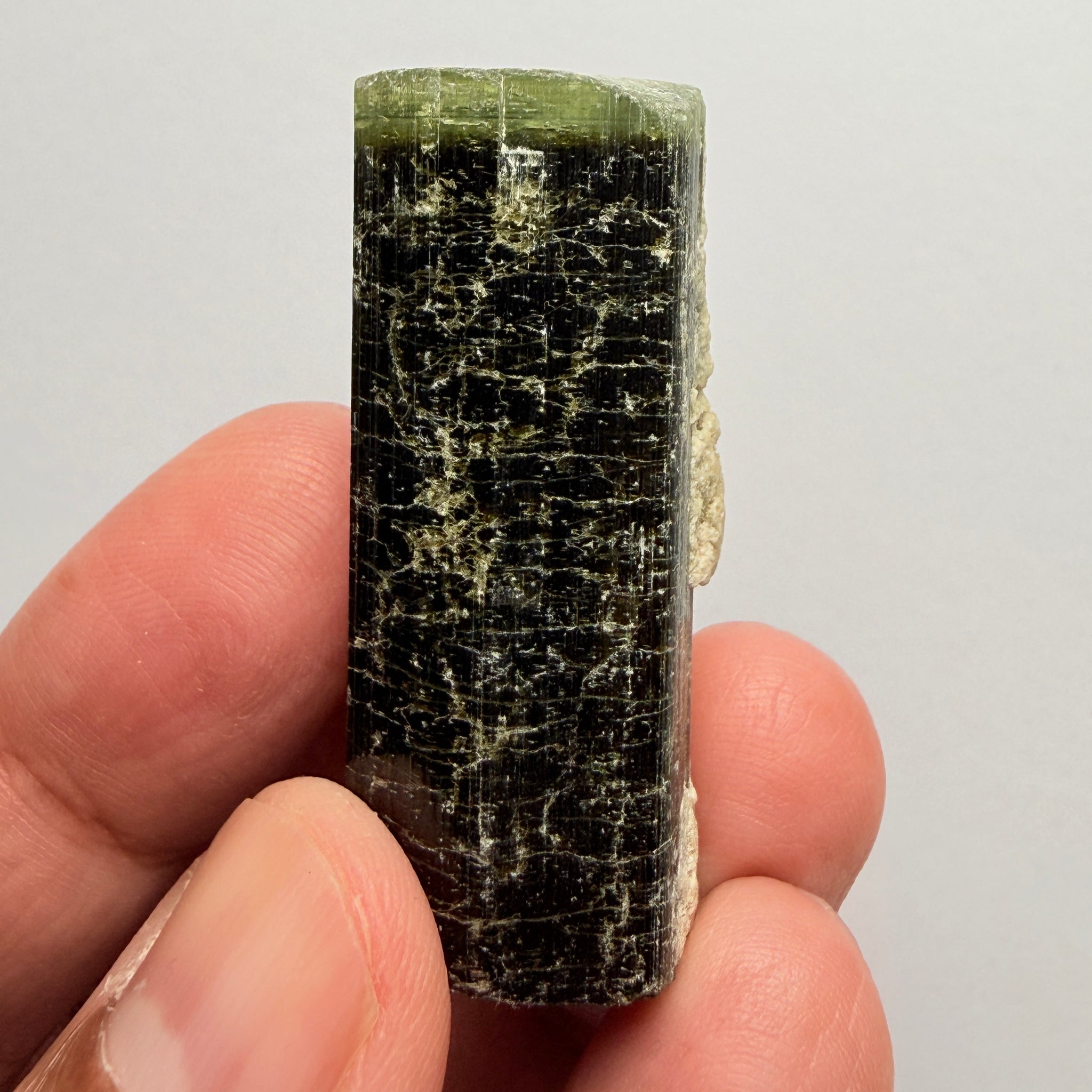Tourmaline Crystal, 148.68ct, Mwajanga, Tanzania. Untreated Unheated