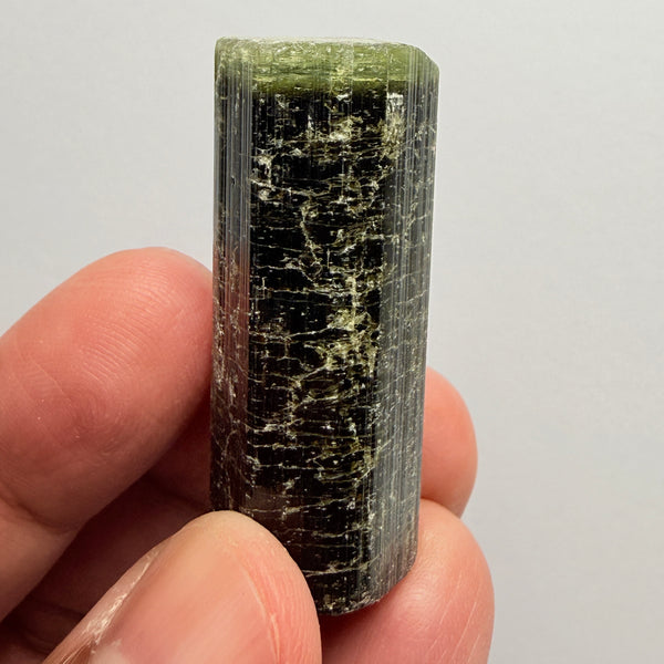 Tourmaline Crystal, 148.68ct, Mwajanga, Tanzania. Untreated Unheated