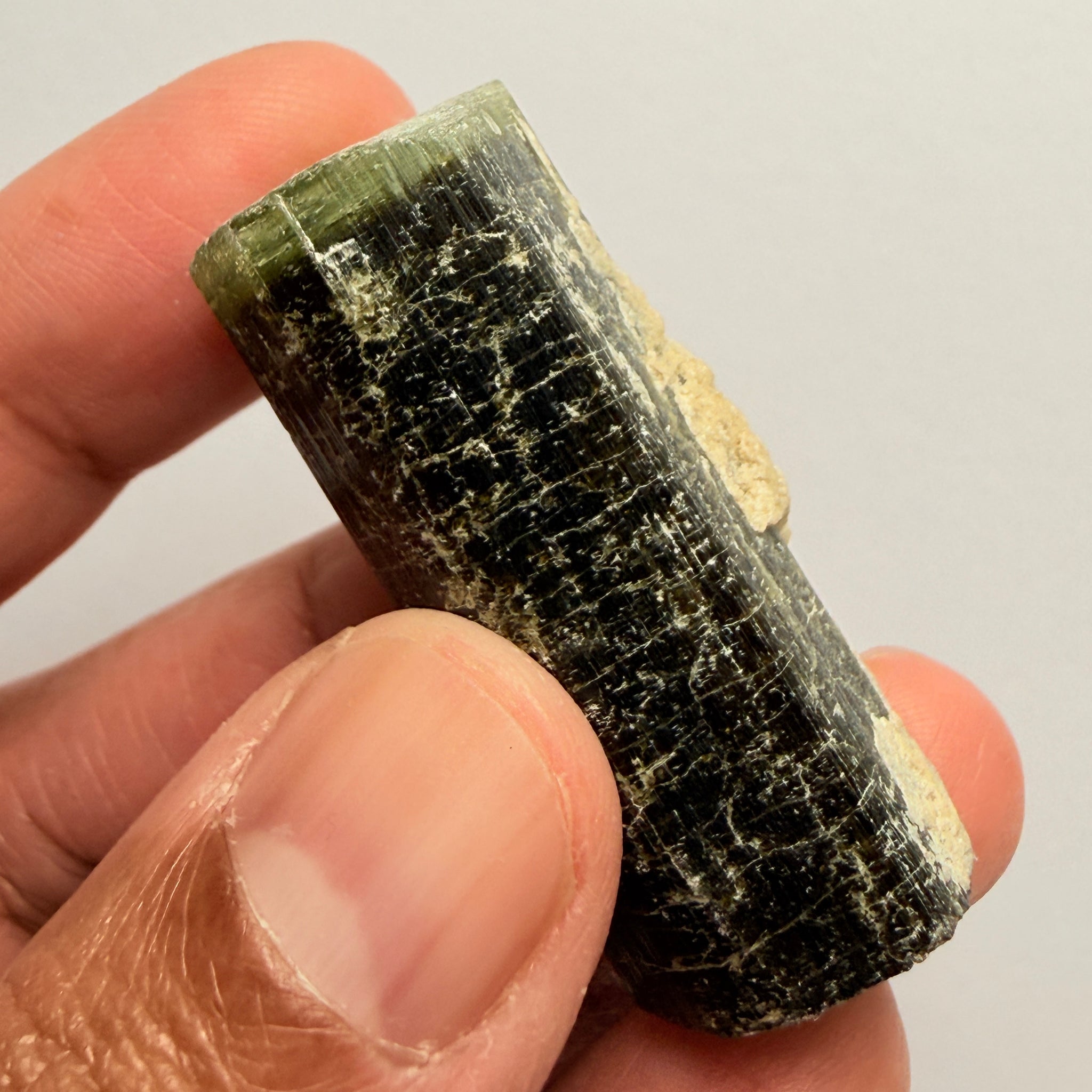 Tourmaline Crystal, 148.68ct, Mwajanga, Tanzania. Untreated Unheated