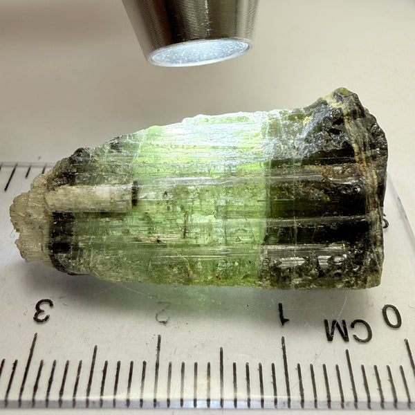 Tourmaline Crystal, 39.98ct, Mwajanga, Tanzania. Untreated Unheated