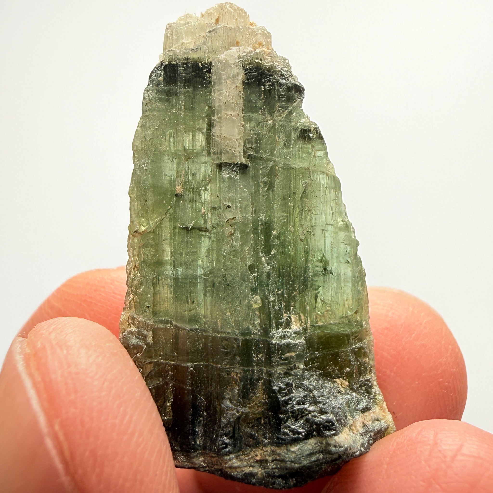 Tourmaline Crystal, 39.98ct, Mwajanga, Tanzania. Untreated Unheated