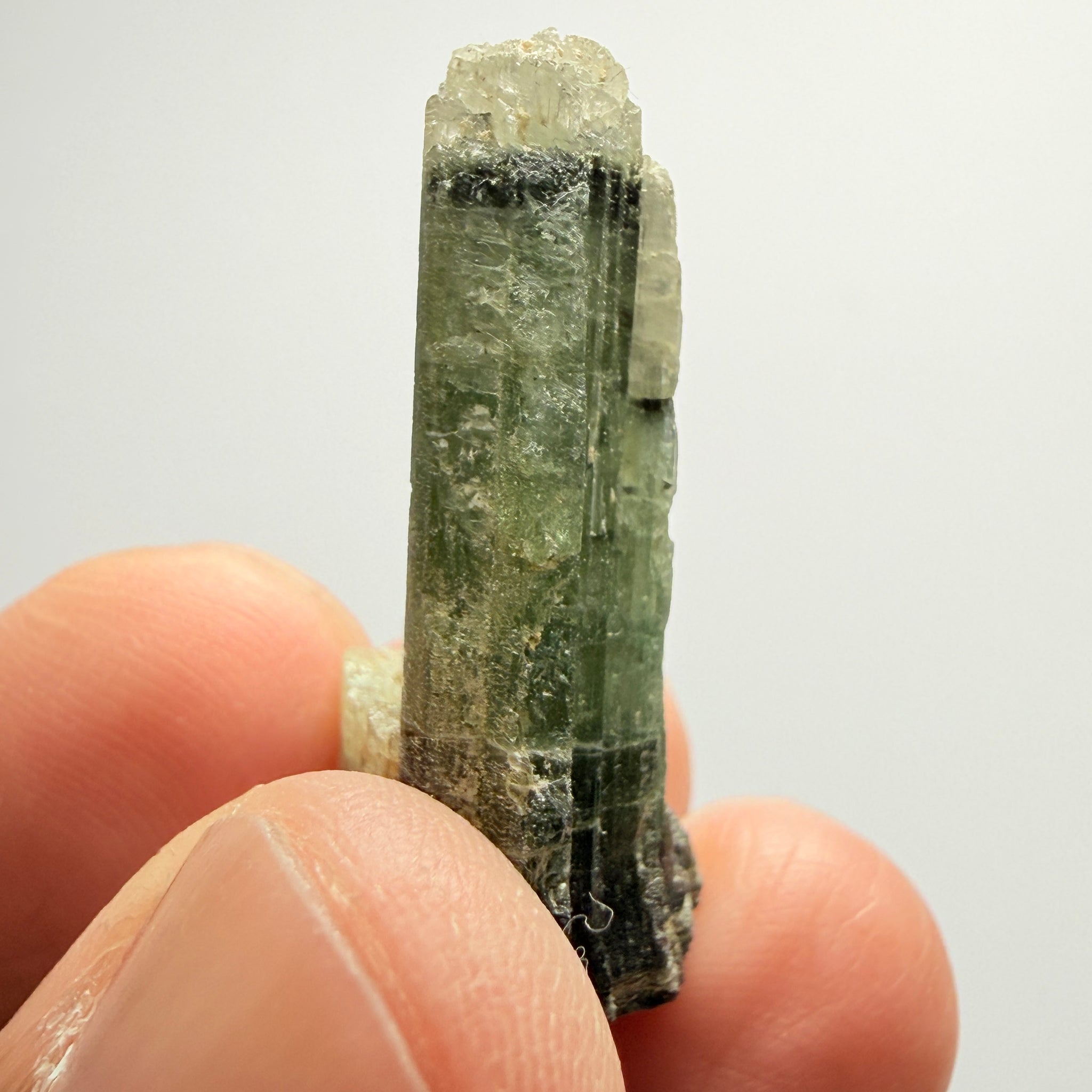 Tourmaline Crystal, 39.98ct, Mwajanga, Tanzania. Untreated Unheated