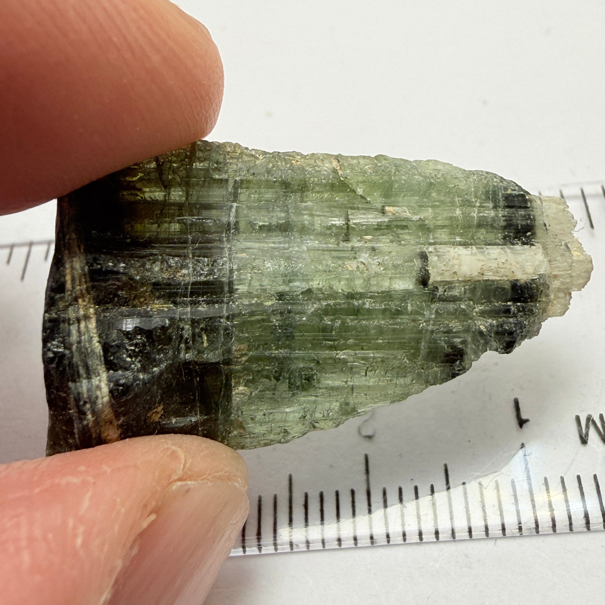 Tourmaline Crystal, 39.98ct, Mwajanga, Tanzania. Untreated Unheated