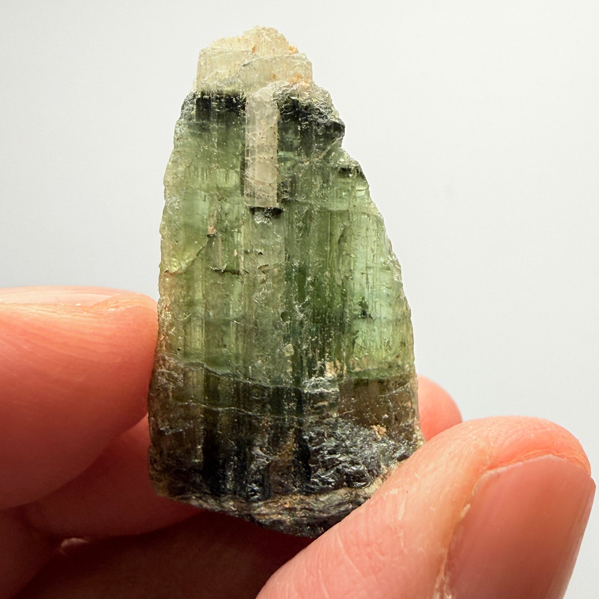 Tourmaline Crystal, 39.98ct, Mwajanga, Tanzania. Untreated Unheated