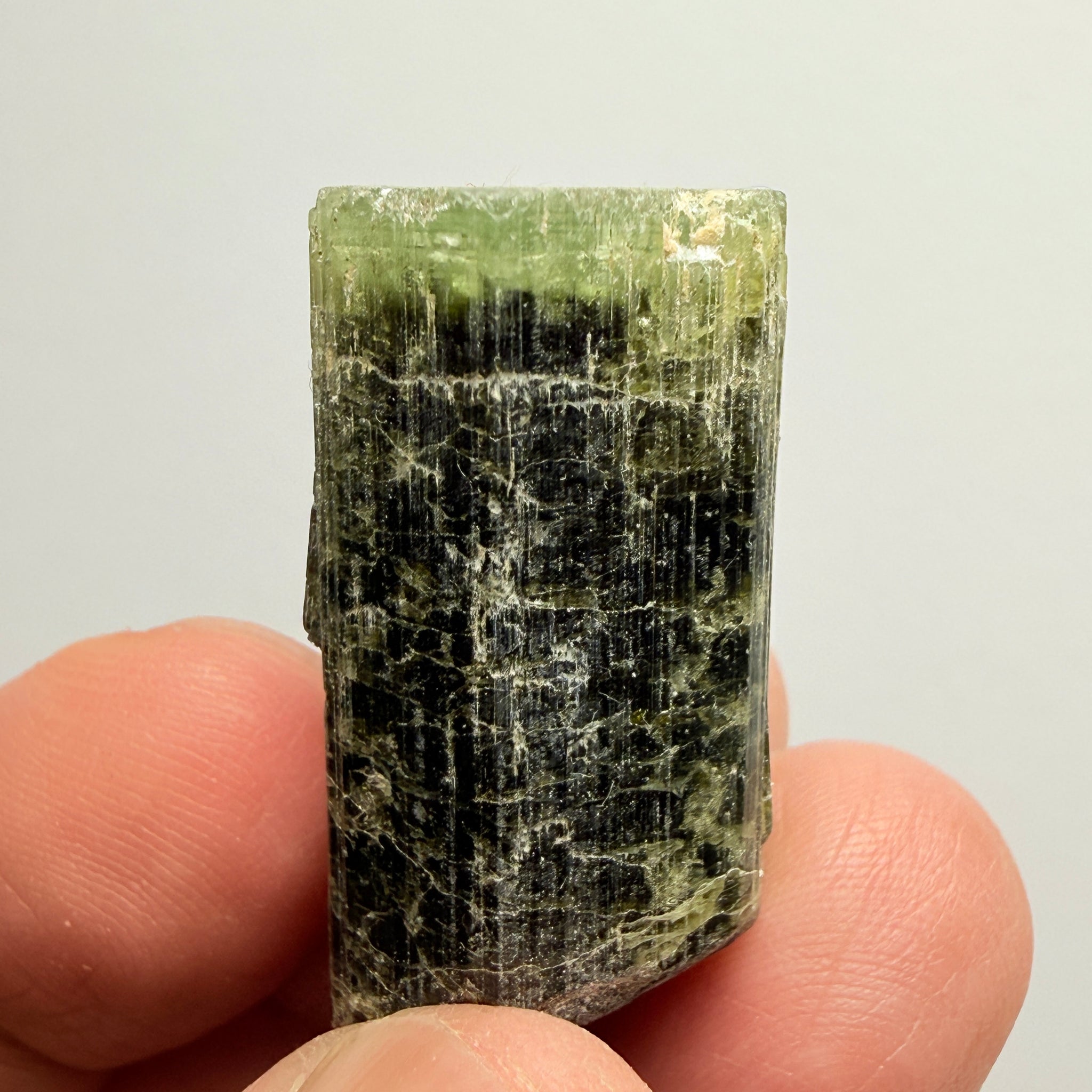 Tourmaline Crystal, 79.39ct, Mwajanga, Tanzania. Untreated Unheated