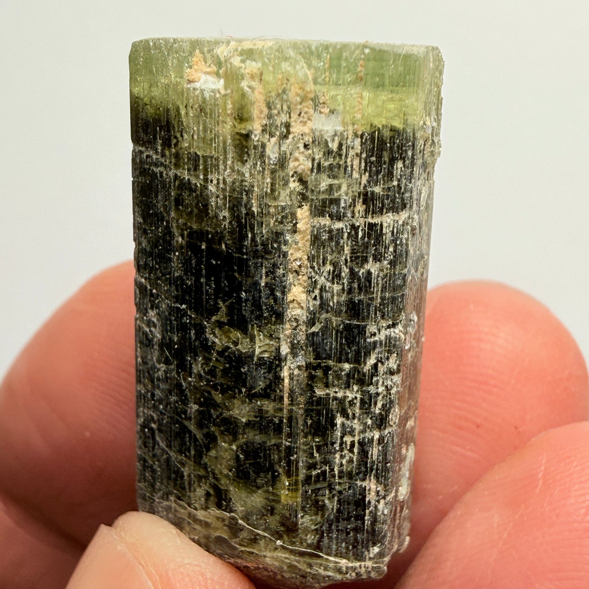 Tourmaline Crystal, 79.39ct, Mwajanga, Tanzania. Untreated Unheated