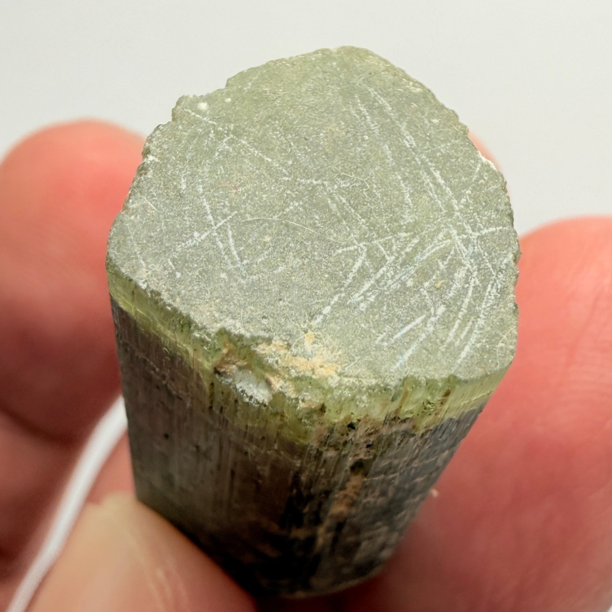 Tourmaline Crystal, 79.39ct, Mwajanga, Tanzania. Untreated Unheated