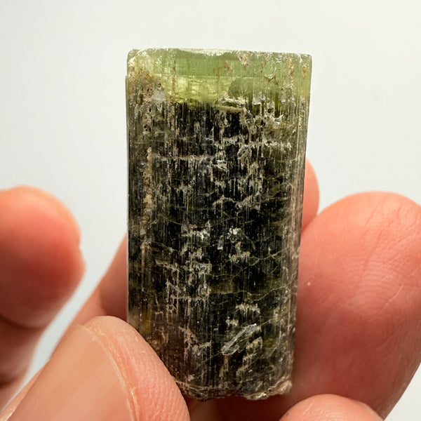 Tourmaline Crystal, 79.39ct, Mwajanga, Tanzania. Untreated Unheated