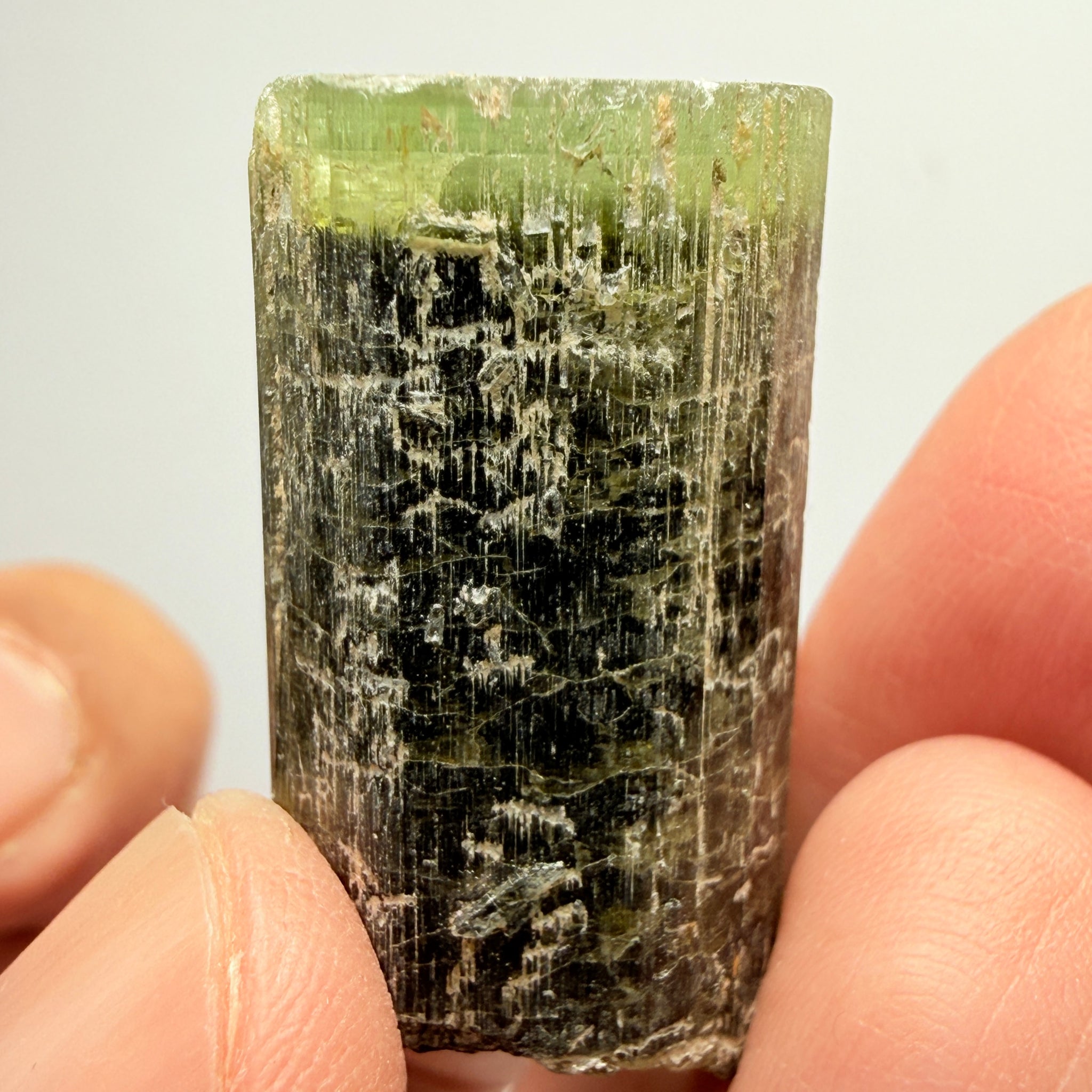 Tourmaline Crystal, 79.39ct, Mwajanga, Tanzania. Untreated Unheated