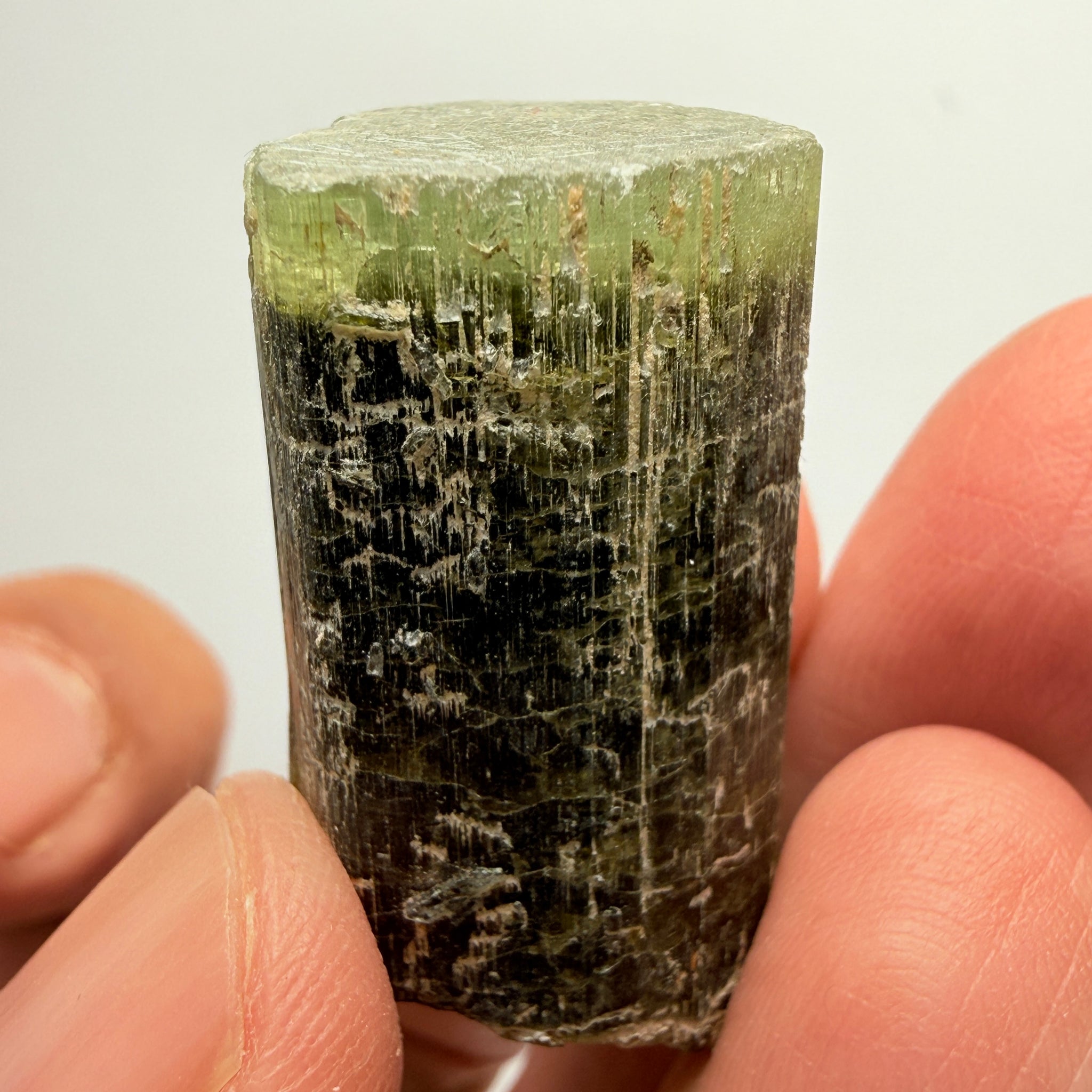 Tourmaline Crystal, 79.39ct, Mwajanga, Tanzania. Untreated Unheated