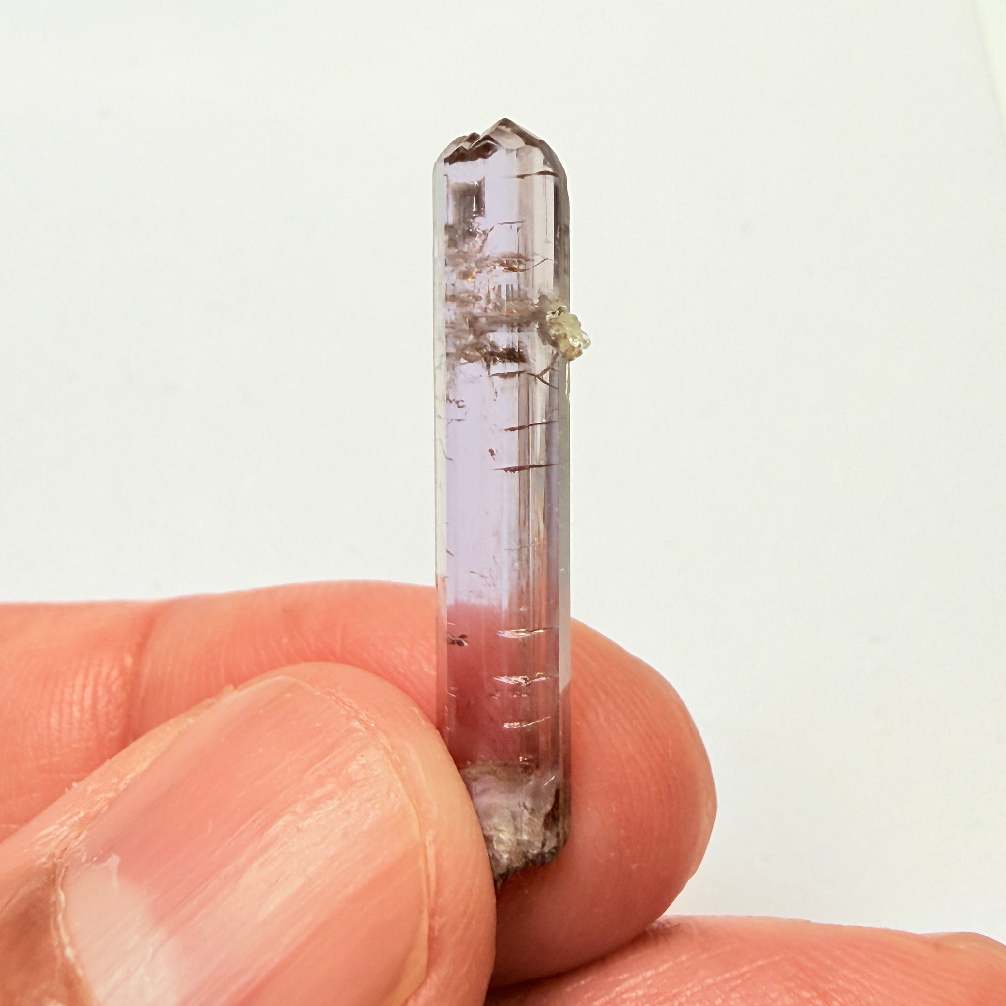 Tanzanite Crystal, 6.65ct, Tanzania, Unheated Untreated, 31.20 x 2.90 x 5.70mm