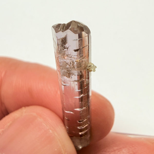 Tanzanite Crystal, 6.65ct, Tanzania, Unheated Untreated, 31.20 x 2.90 x 5.70mm