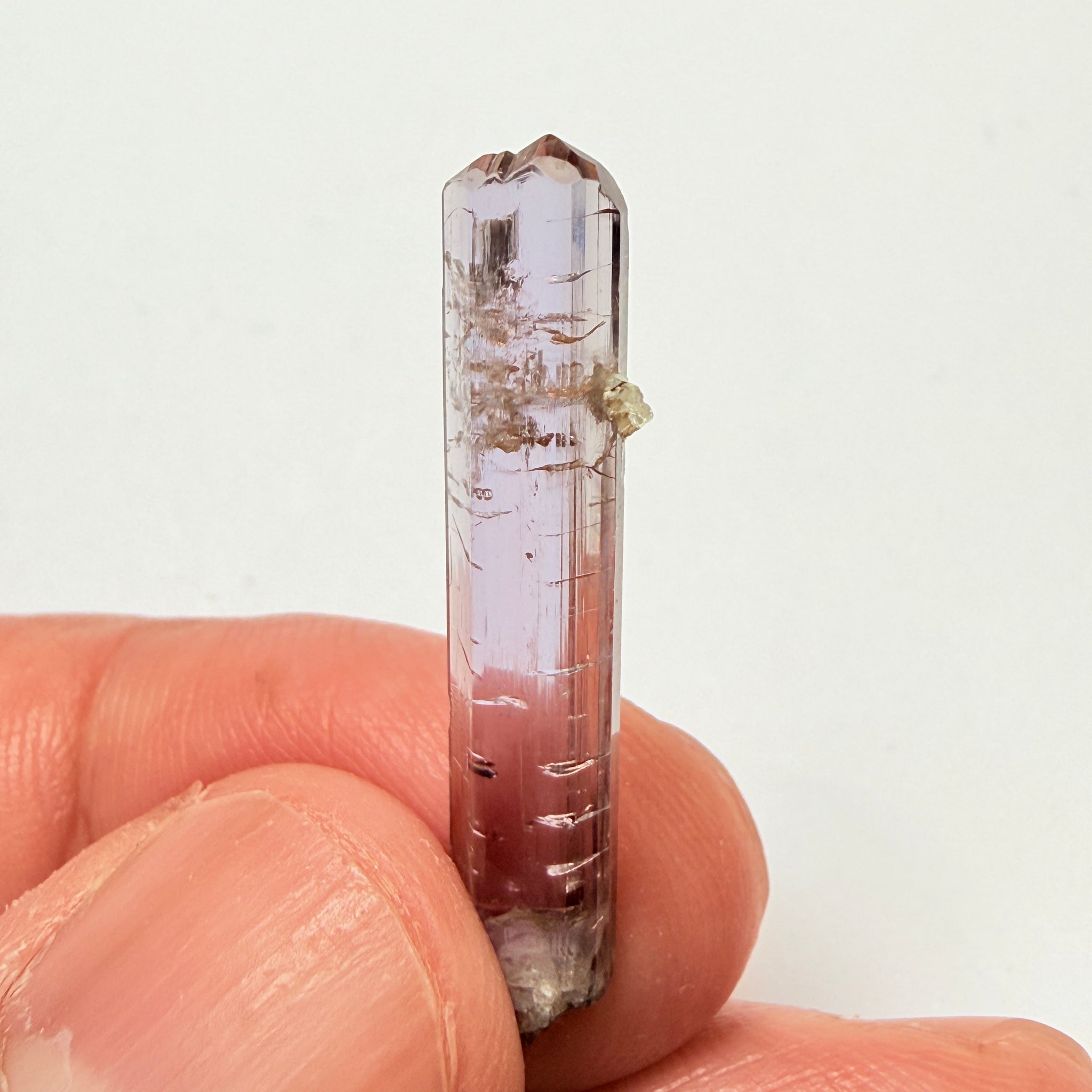 Tanzanite Crystal, 6.65ct, Tanzania, Unheated Untreated, 31.20 x 2.90 x 5.70mm