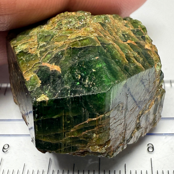Chrome Tourmaline Crystal, Commander Mine, Tanzania, 196.50ct / 39.60gm Untreated Unheated