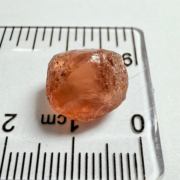 Malaya Garnet, 11.40ct, Umba Valley, Tanzania, Untreated Unheated, slight inclusions on the outer skin, will come off on disk while preforming and will take a couple of mm off the bottom, rest is slightly cloudyl