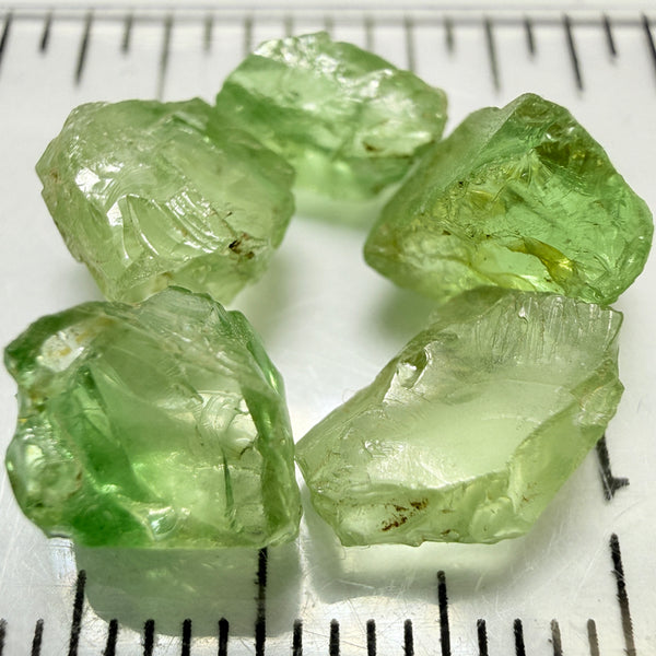 Tsavorite Garnet Lot, 11.19ct, Tanzania, Untreated Unheated, included stones
