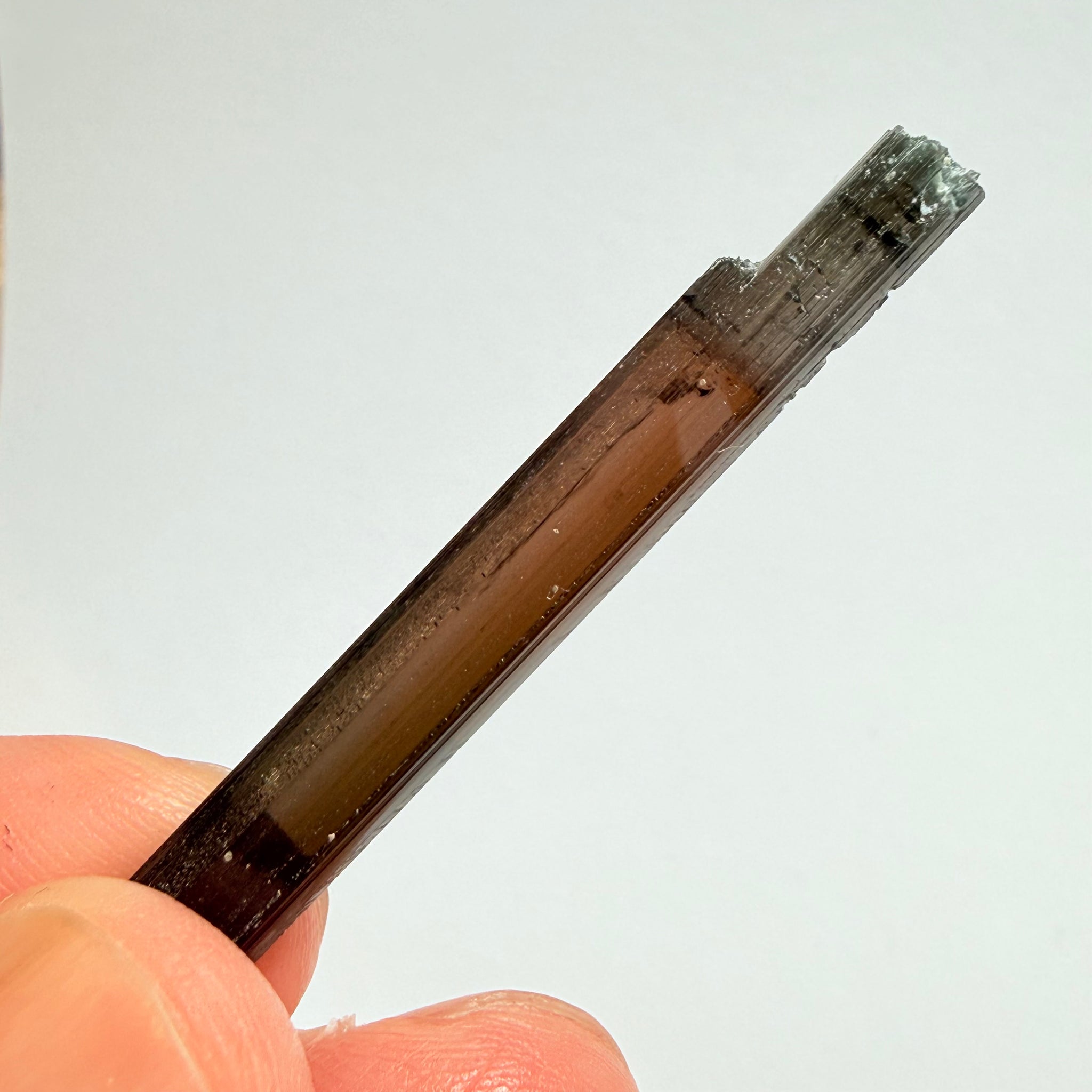 Tourmaline Crystal, 11.34ct, Mwajanga, Tanzania. Untreated Unheated, vvs-if except the blue part of the tip