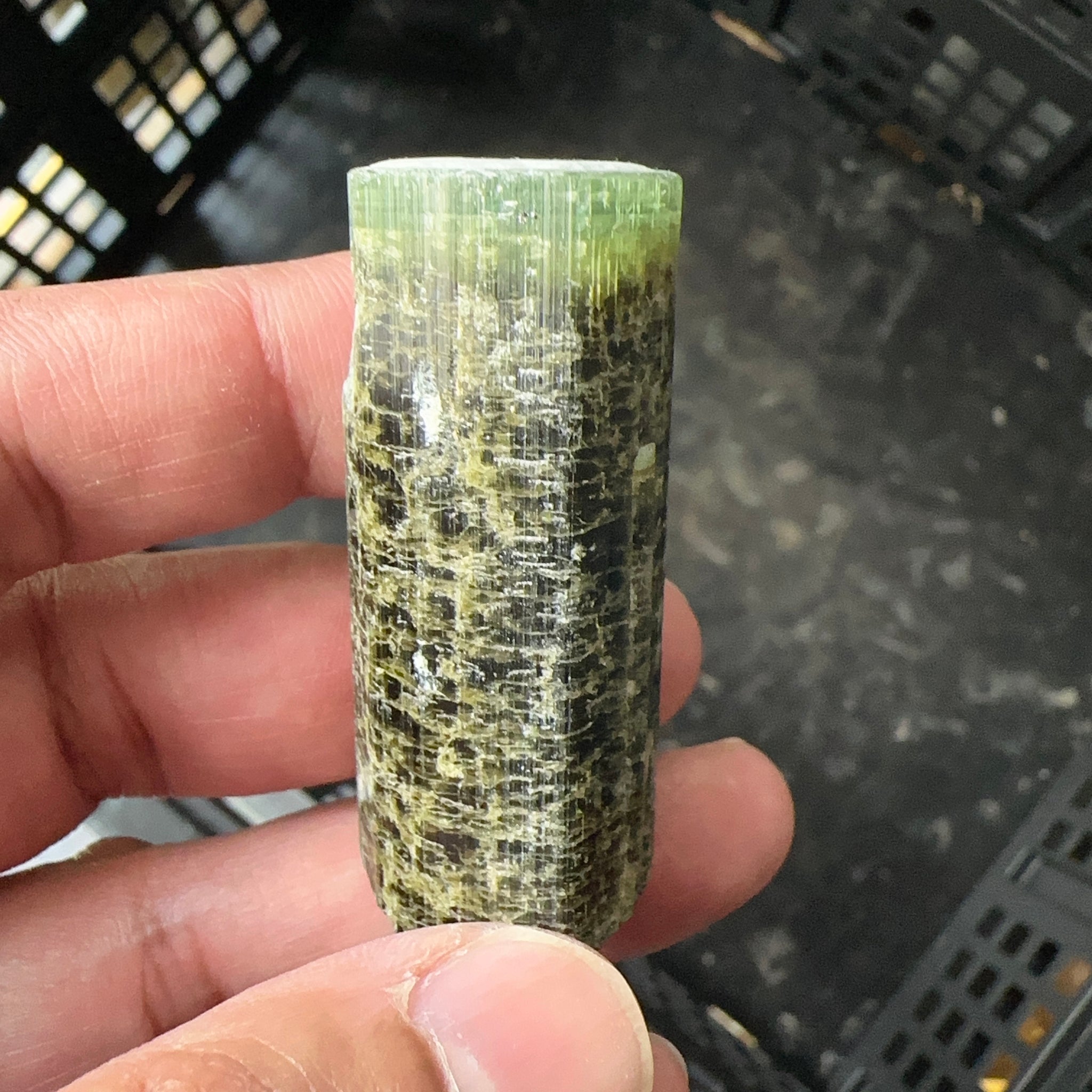 Tourmaline Crystal, 52.00gm, Tanzania.