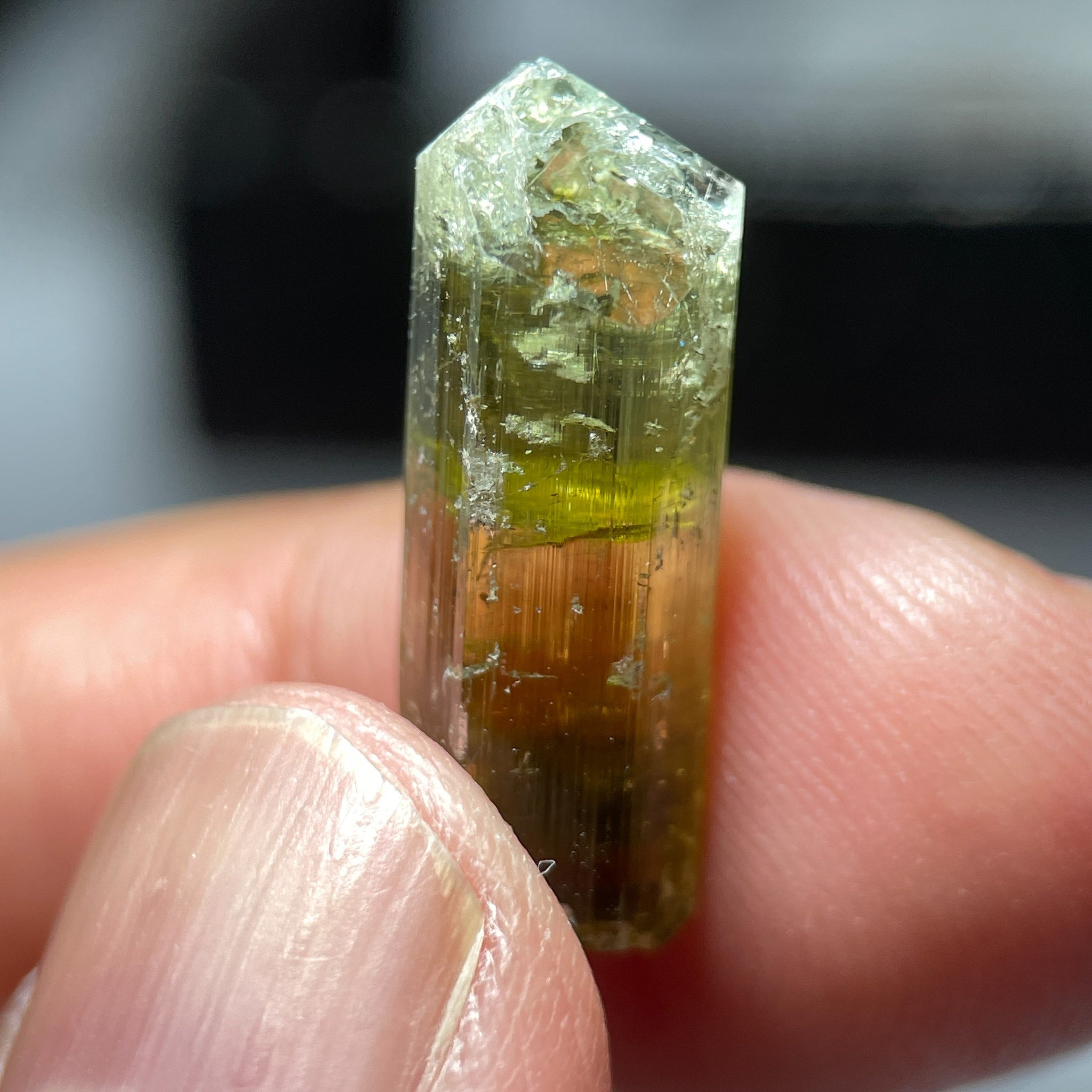 15.45Ct Tourmaline Crystal Laletema Tanzania Untreated Unheated 2.17 X 0.84 0.87Cm
