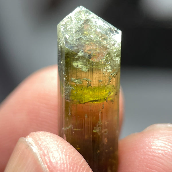 15.45Ct Tourmaline Crystal Laletema Tanzania Untreated Unheated 2.17 X 0.84 0.87Cm