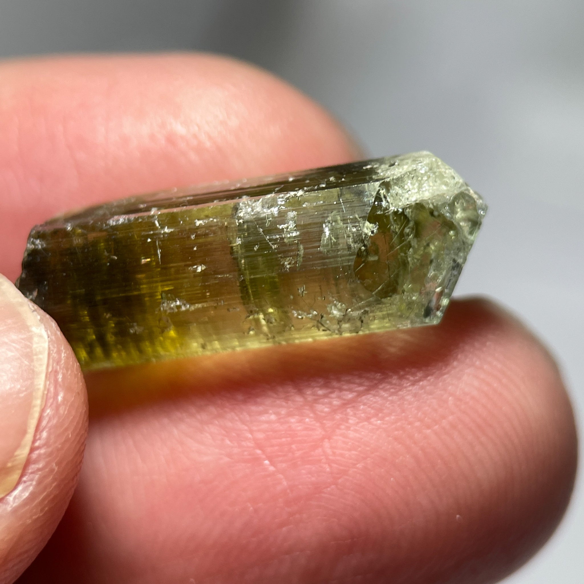 15.45Ct Tourmaline Crystal Laletema Tanzania Untreated Unheated 2.17 X 0.84 0.87Cm