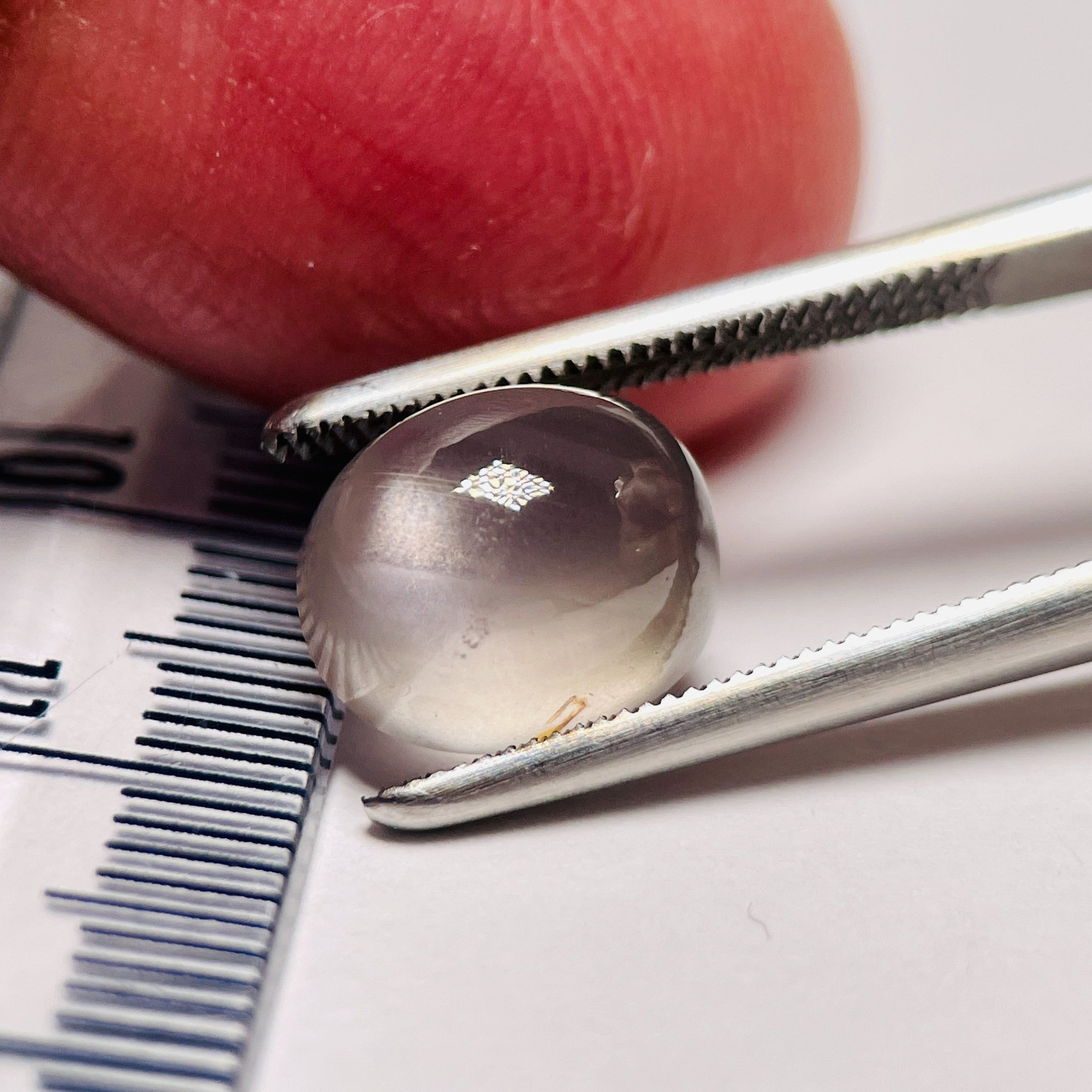 5.96Ct Sapphire Cabochon Umba Valley Tanzania. Untreated Unheated. Has A Moving Star But As Point.